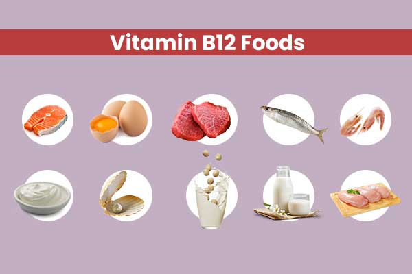 Vitamin B12 Foods blog Post