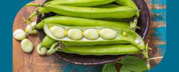 Debunking the Myth: Do Lima Beans Really Spike Insulin?