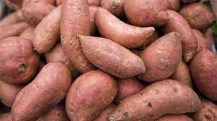 Can Diabetics Eat Sweet Potatoes Everyday? A Balanced Perspective