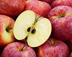 Debunking the Myth: Are Apple Seeds Poisonous?