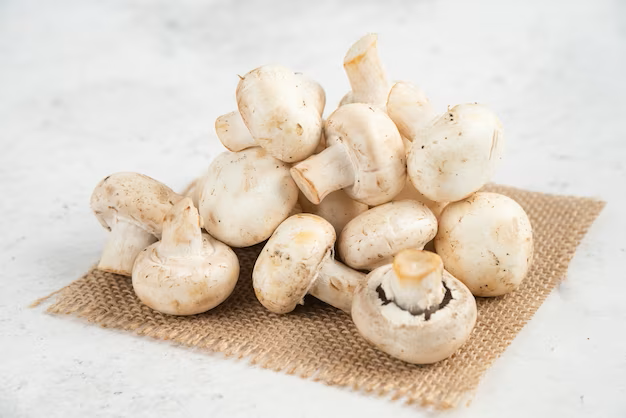 Mushrooms: Unveiling Their Potential as an Anti-Cancer Superfood