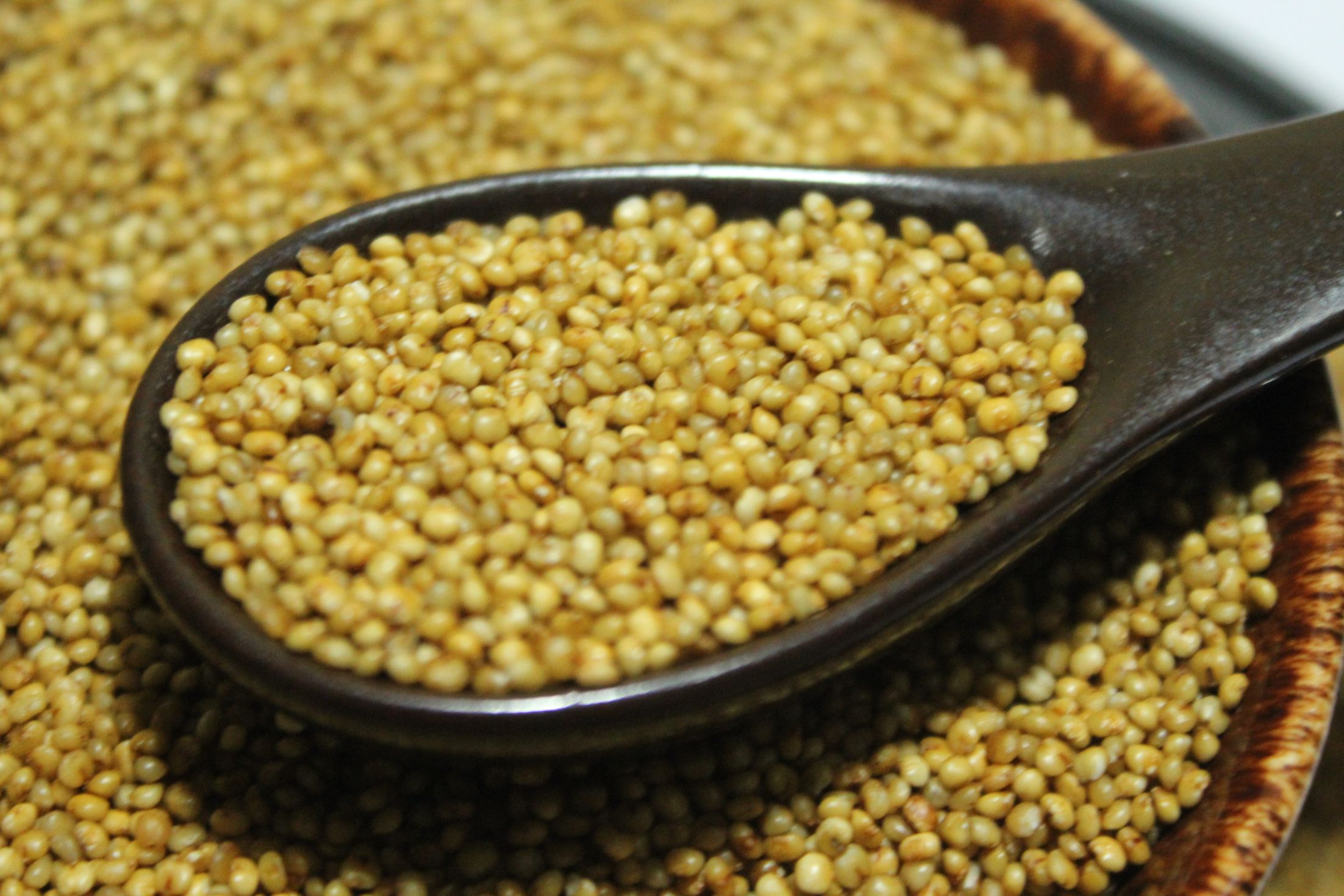 Kodo Millet: A Nutritional Powerhouse for Kidney Patients