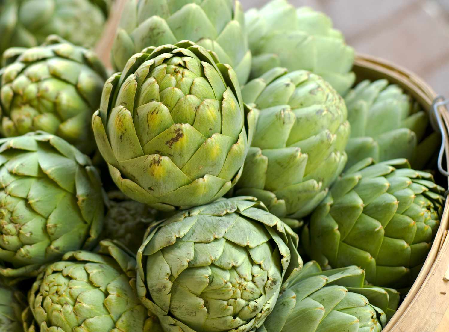 Artichoke