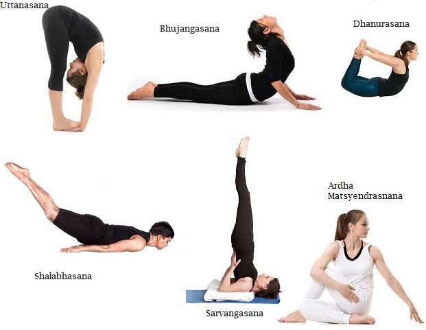 Yoga Asanas for Diabetes Management