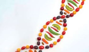 Being a Vegetarian Might Be in Your DNA: Exploring the Genetics of Plant-Based