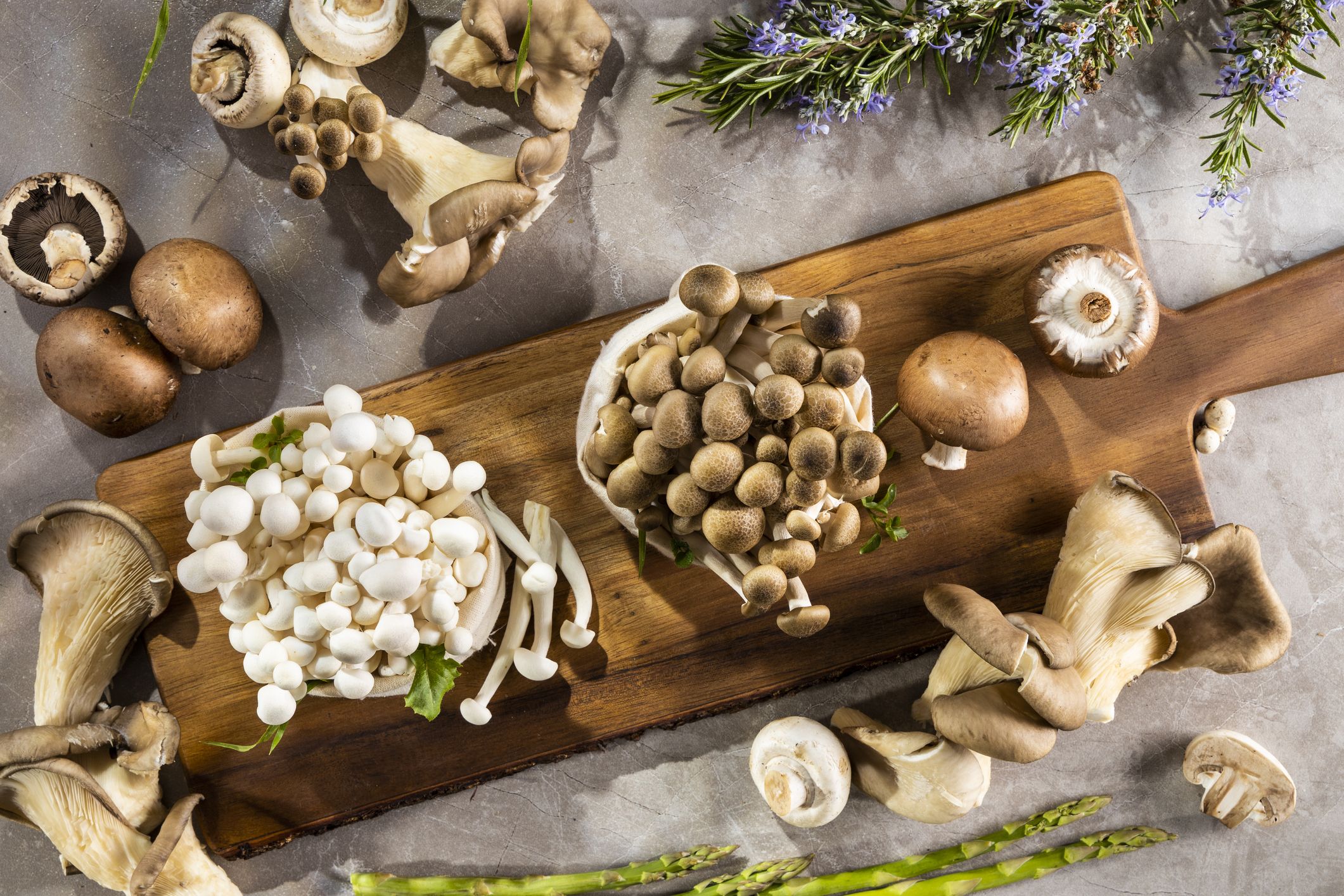 The Mushroom Revolution: How Fungi Can Improve Your Health and Wellness